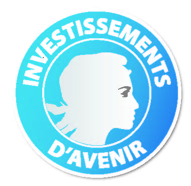 Logo investissements d'avenir