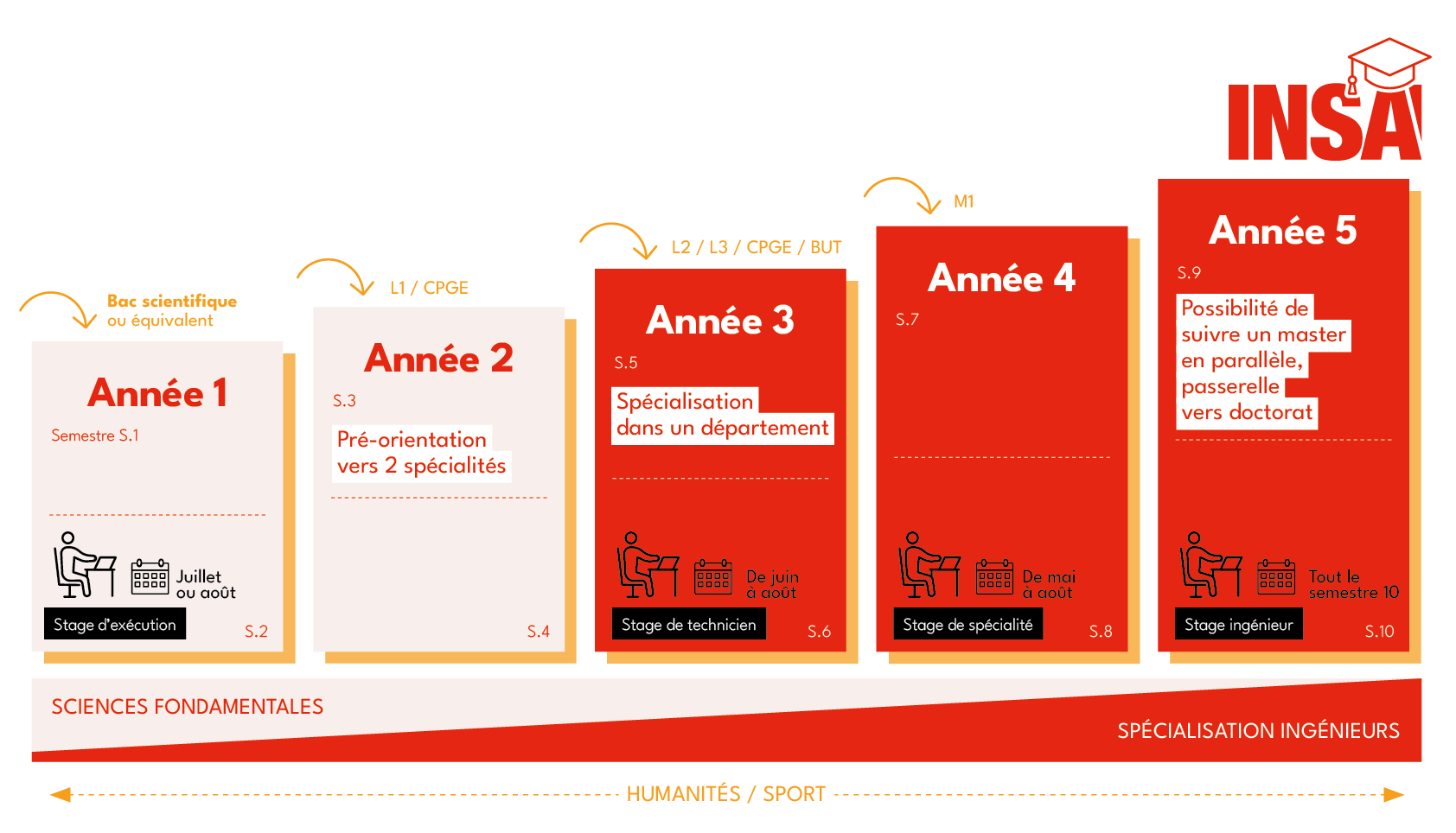 Schéma des études sur 5 ans